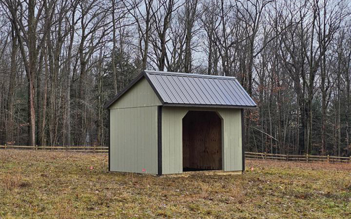Run-In Sheds vs. Barn Stalls: What’s Best for Your Pasture?